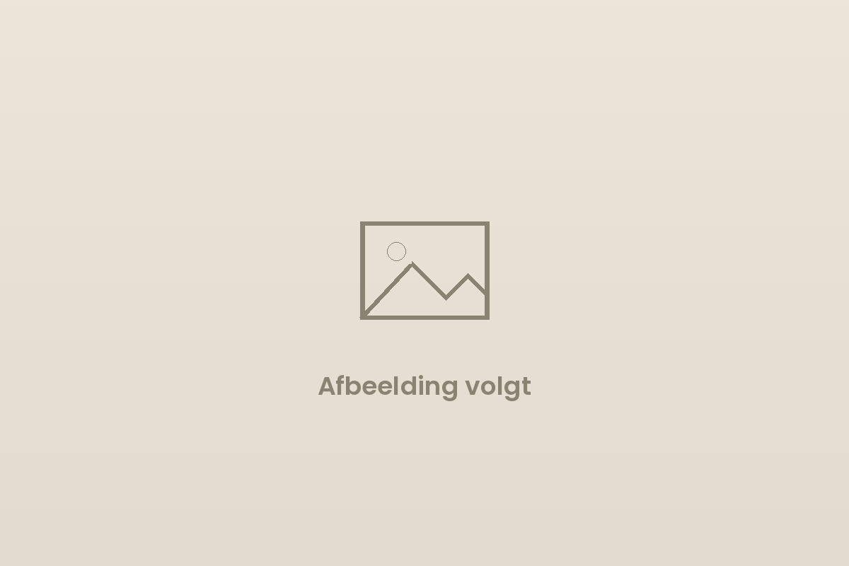 Werkplaats en productie