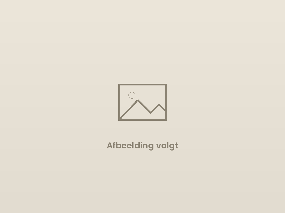 Traprenovatie jaren '30-woning